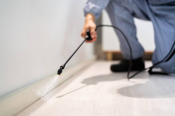 Licensed Pest Control service in Somerset, PA - Show Me Pest Control