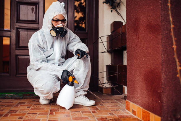 Attic and Crawl Space Rodent Treatment in Somerset